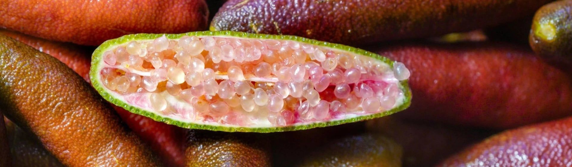 Finger lime, bush honey, wild fungi